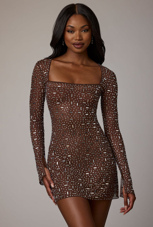 Sheer Noblessine Long Sleeve A-Line Mini Dress in Deep Cocoa